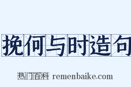 挽何与时造句是什么意思的图片